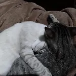 In